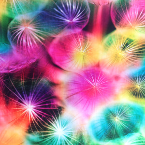 Jellyfish Rainbow | DTP288C1