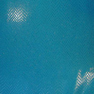 Glitter Spandex Fabric