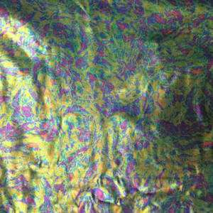 Oil Slick Foil Print | GTNF11251