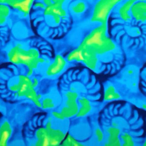 Neon Seashell Print | GTNP112A1