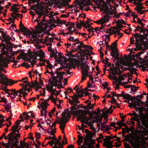 Colorful Splash Fabric | Colorful Splash Stretch