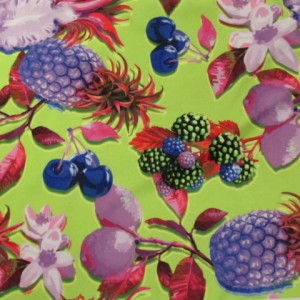 Fruit Pattern Fabric| Floral and Fruit