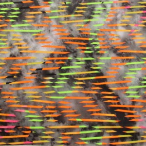 Colorful Cat scratch Spandex|Jungle Cat Scratch