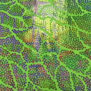 Lime Sequin Foil