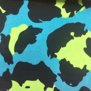 Blue and Lime Cheetah Print